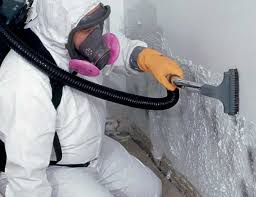 Best Real Estate Mold Inspection in Monterey, TN